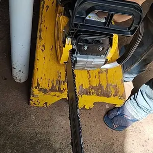 Foto enviada por João V.